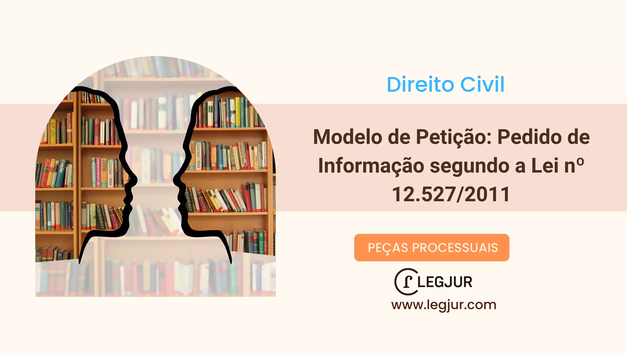 Modelo de Petição: Pedido de Informação segundo a Lei nº 12.527/2011