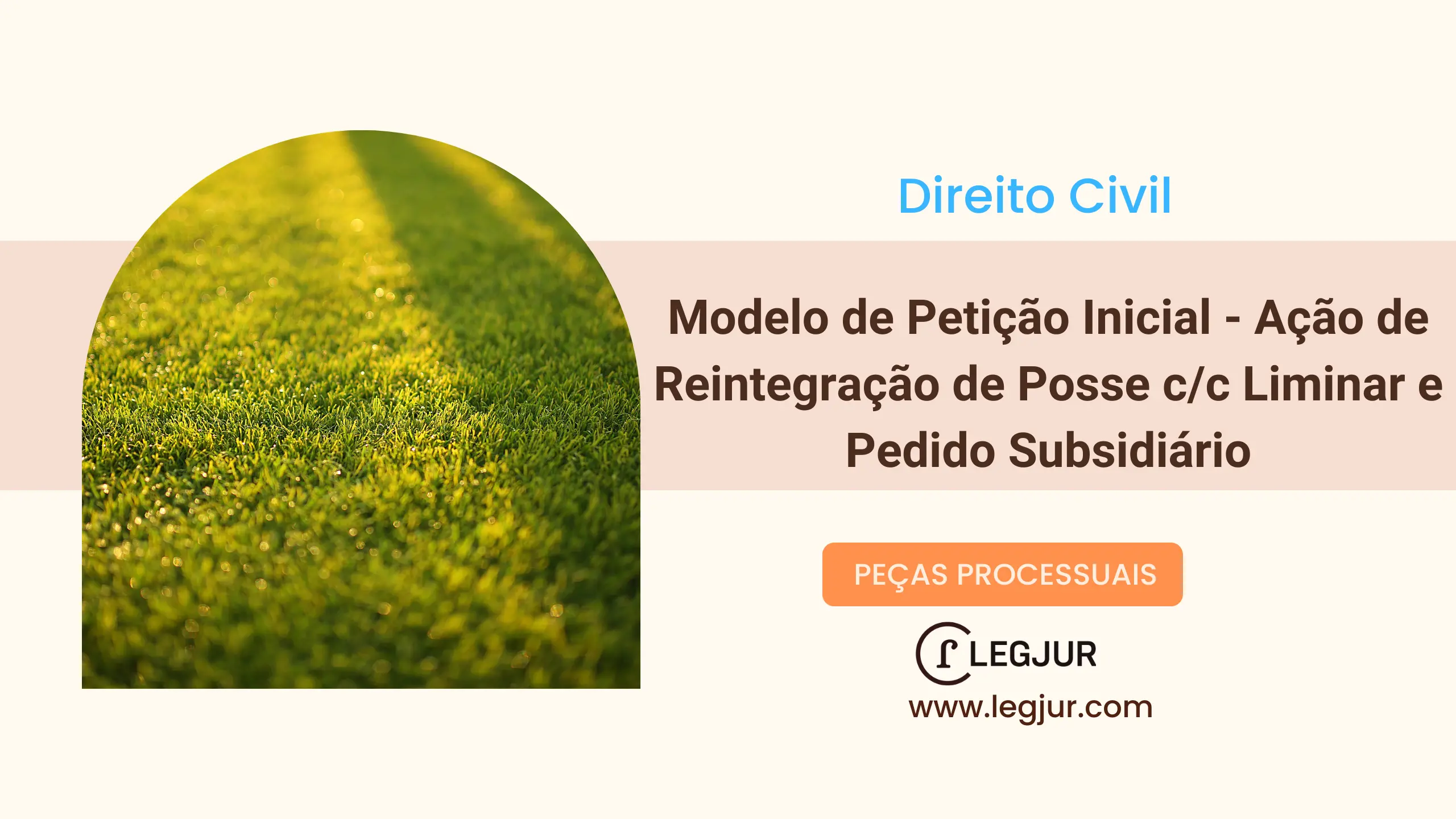 Modelo de Ação de Reintegração de Posse com Pedido de Liminar em Face de Esbulho Possessório