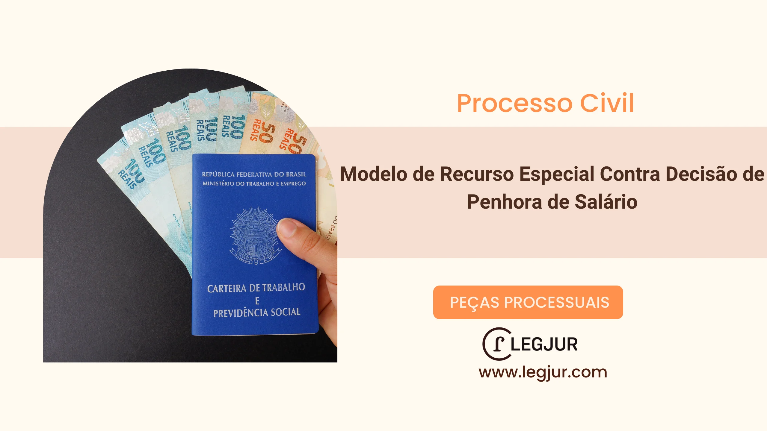 Modelo de Recurso Especial Contra Decisão de Penhora de Salário