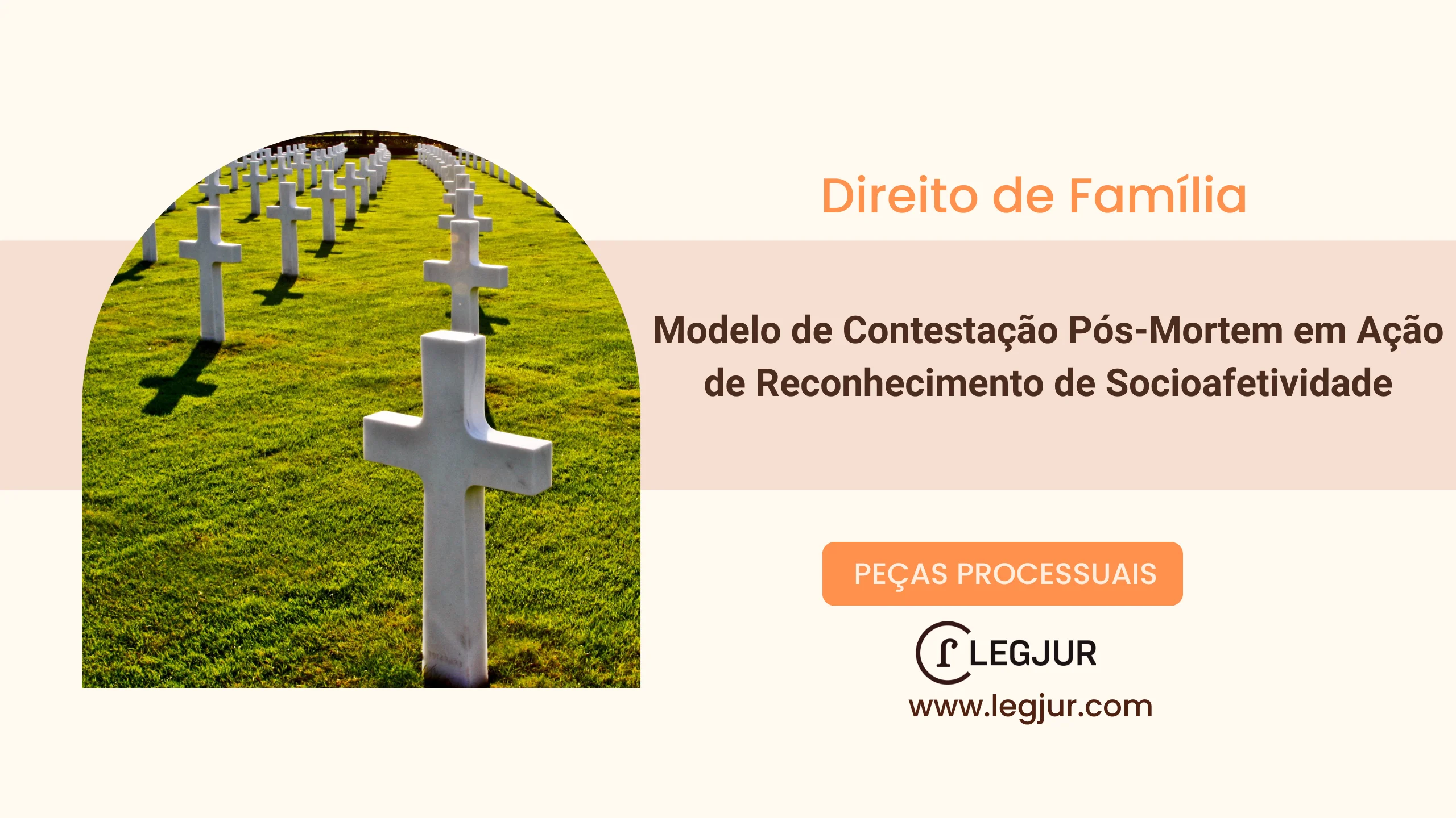 Modelo de Contestação Pós-Mortem em Ação de Reconhecimento de Socioafetividade