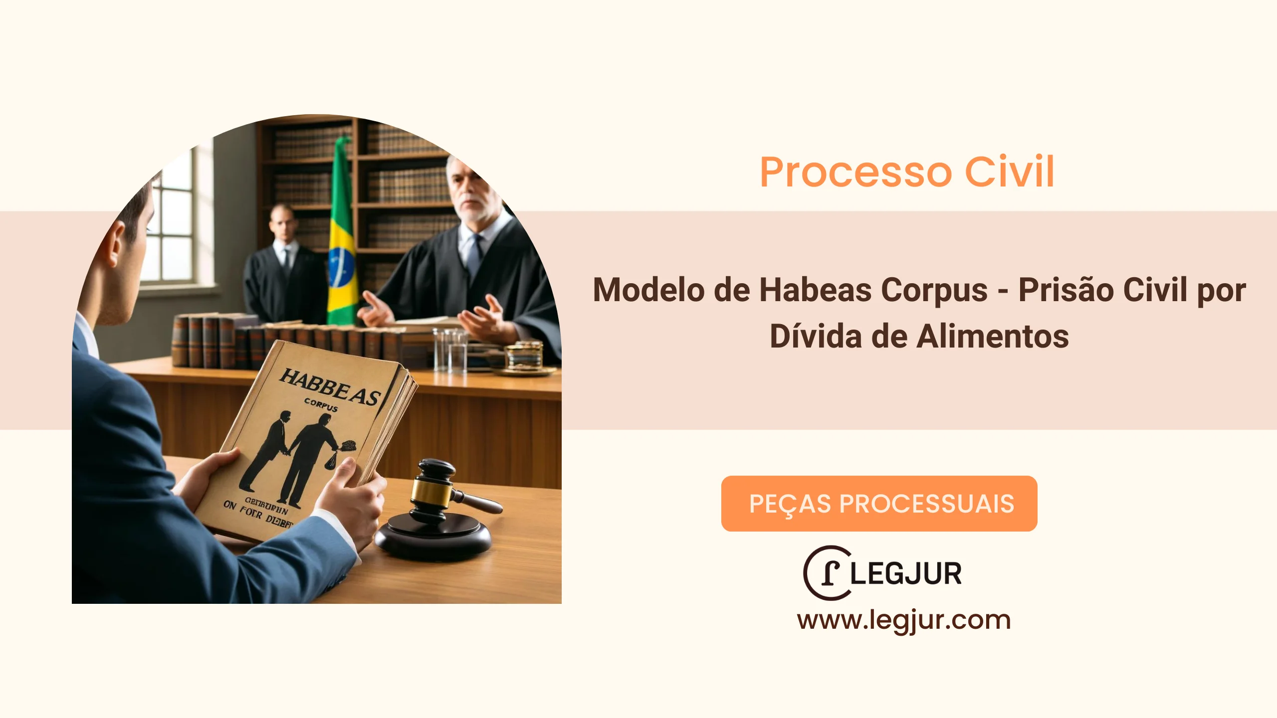 Modelo de Habeas Corpus - Prisão Civil por Dívida de Alimentos